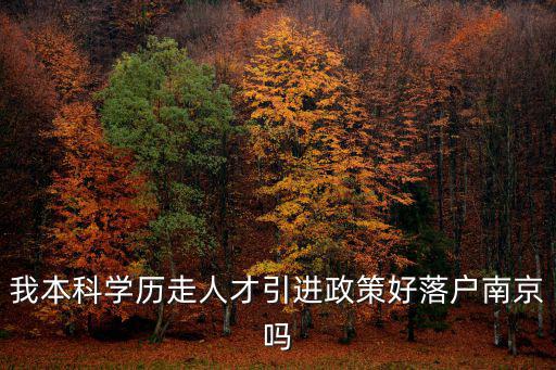 南京人才落戶，我本科學(xué)歷走人才引進(jìn)政策好落戶南京嗎