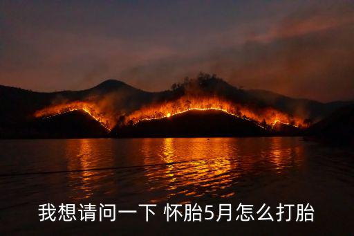 我想請問一下 懷胎5月怎么打胎