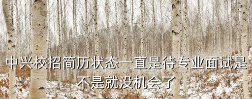 中興校招簡歷狀態(tài)一直是待專業(yè)面試是不是就沒機(jī)會(huì)了