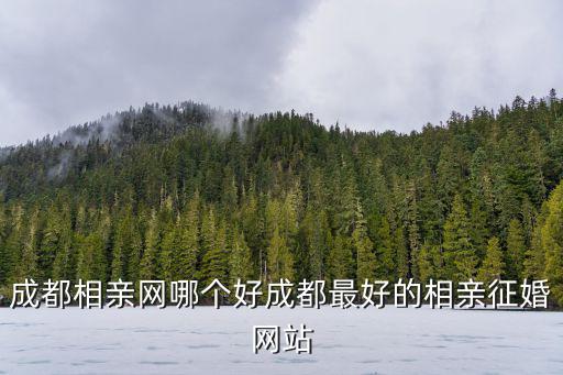 成都網，成都有哪些門戶網站