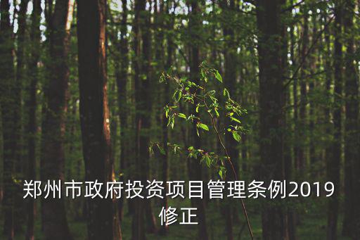 鄭州市政府投資項目管理條例2019修正