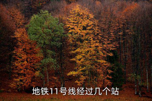 地鐵11號線經(jīng)過幾個站
