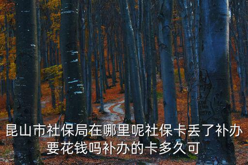 昆山市社保局在哪里呢社保卡丟了補辦要花錢嗎補辦的卡多久可