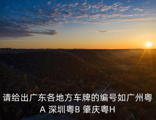 請給出廣東各地方車牌的編號如廣州粵A 深圳粵B 肇慶粵H