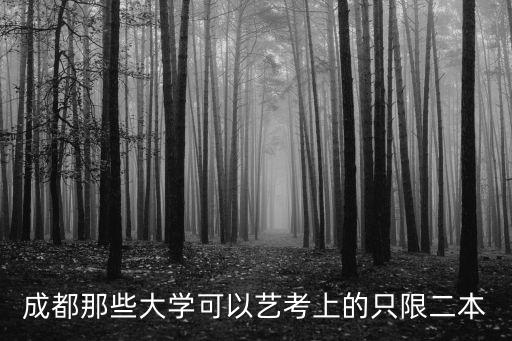 成都藝考，成都藝考培訓哪個學校要好一點啊