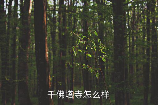 千佛塔寺怎么樣