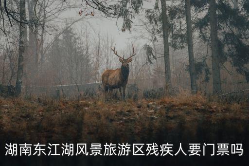 湖南東江湖風景旅游區殘疾人要門票嗎