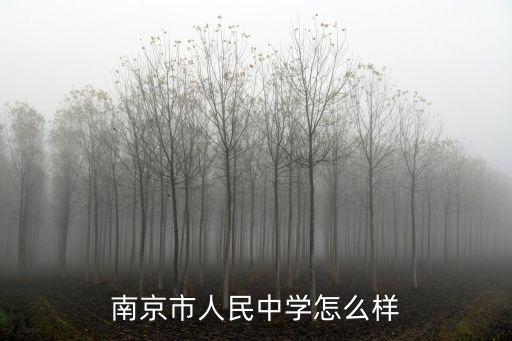 南京市人民中學(xué)怎么樣