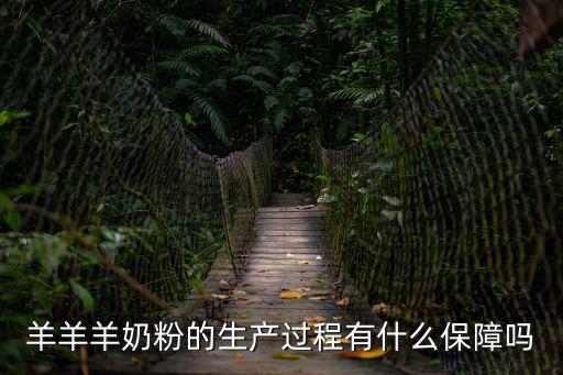 羊羊羊奶粉的生產過程有什么保障嗎