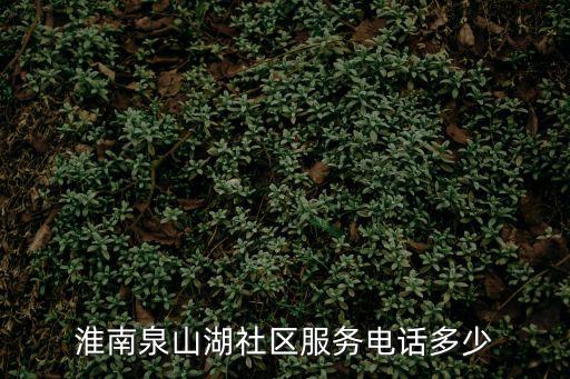 淮南泉山湖社區服務電話多少