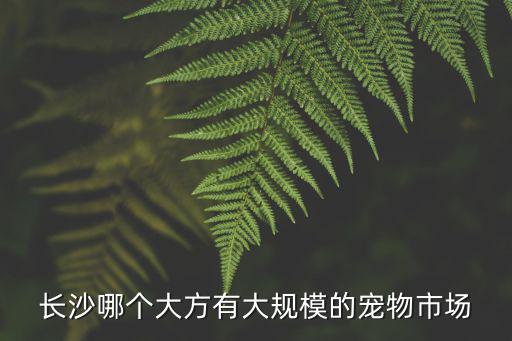 長沙哪個大方有大規模的寵物市場