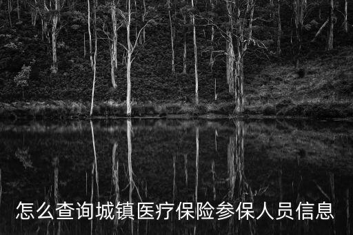 怎么查詢城鎮醫療保險參保人員信息
