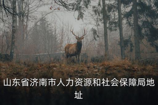 濟南市社保局官網，山東省濟南市人力資源和社會保障局地址