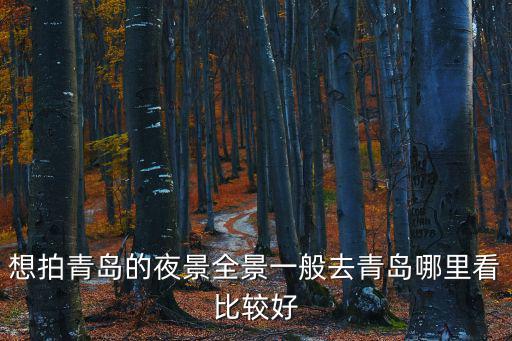 想拍青島的夜景全景一般去青島哪里看比較好