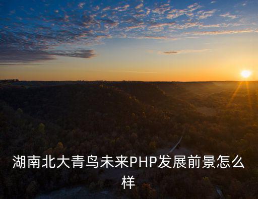 湖南北大青鳥未來PHP發展前景怎么樣