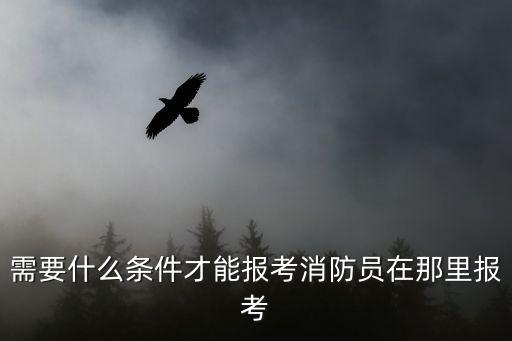 需要什么條件才能報考消防員在那里報考