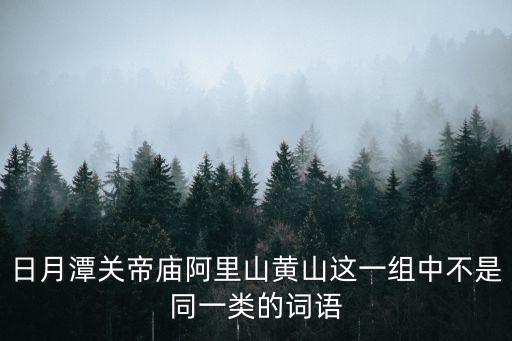 電網關帝廟，日月潭關帝廟阿里山黃山這一組中不是同一類的詞語