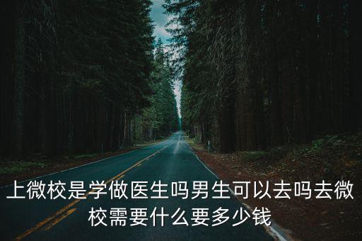 上微校是學做醫生嗎男生可以去嗎去微校需要什么要多少錢