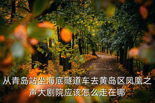 鳳凰之聲大劇院，鳳凰之聲的播出時(shí)間是