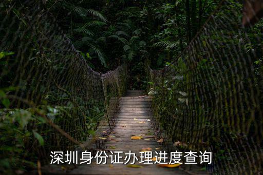 深圳身份證辦理進度查詢