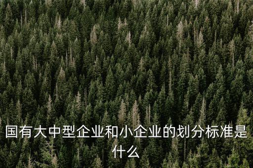 國有大中型企業和小企業的劃分標準是什么