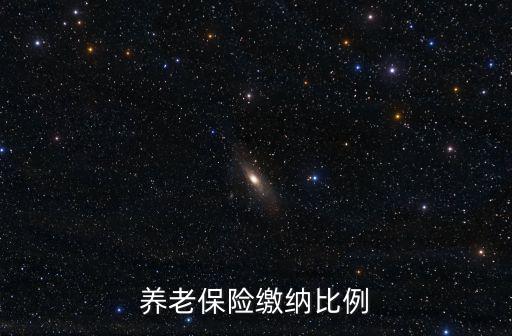 養(yǎng)老保險繳納比例