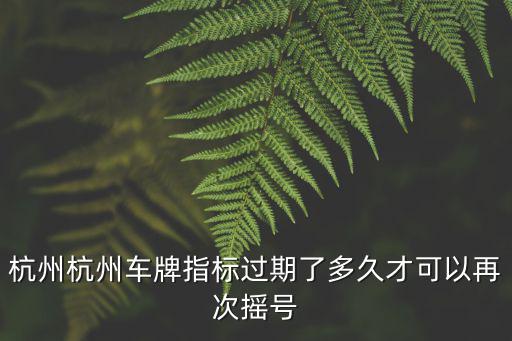 杭州車牌搖號時間，杭州杭州車牌指標過期了多久才可以再次搖號