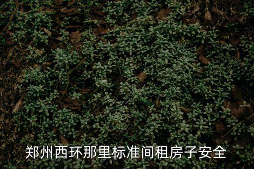 鄭州西環那里標準間租房子安全