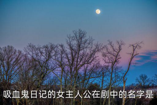 吸血鬼日記的女主人公在劇中的名字是