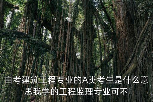 自考建筑工程專業的A類考生是什么意思我學的工程監理專業可不