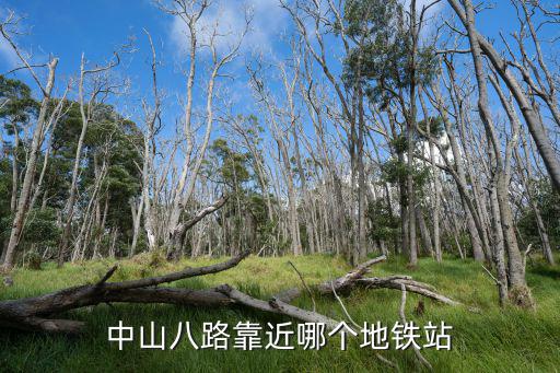 中山八路靠近哪個地鐵站