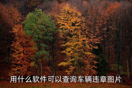 用什么軟件可以查詢車輛違章圖片