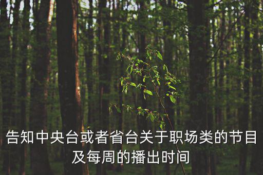 告知中央臺或者省臺關于職場類的節目及每周的播出時間