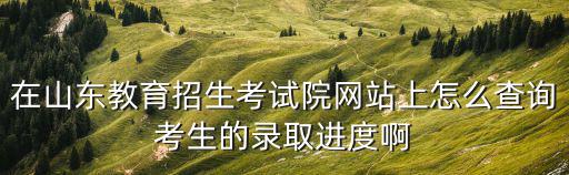 山東省招生考試院官網，山東考生怎么用電腦查分