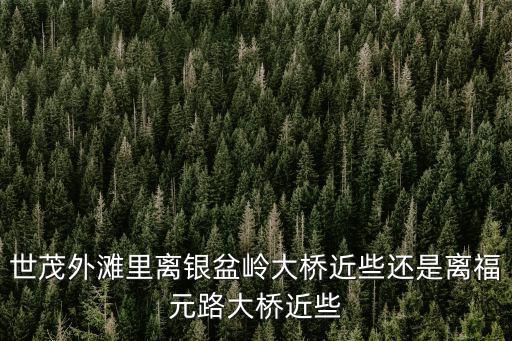 世茂外灘里離銀盆嶺大橋近些還是離福元路大橋近些