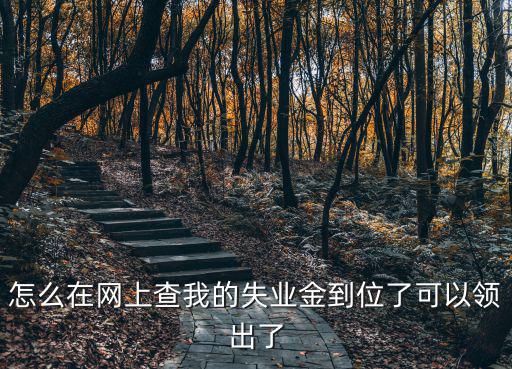 怎么在網上查我的失業金到位了可以領出了