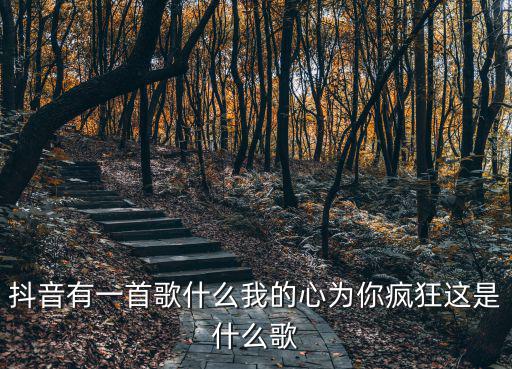 賀仙人，抖音有一首歌什么我的心為你瘋狂這是什么歌