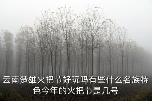 楚雄火把節，楚雄火把節要門票嗎