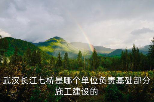 武漢長(zhǎng)江七橋是哪個(gè)單位負(fù)責(zé)基礎(chǔ)部分施工建設(shè)的