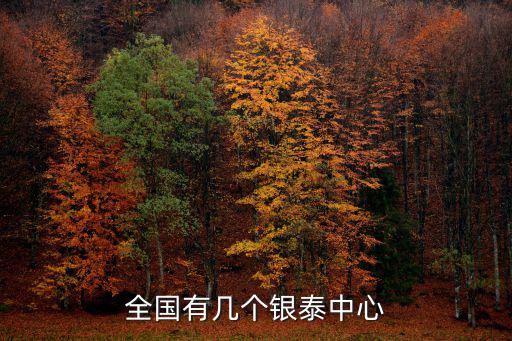 全國有幾個銀泰中心