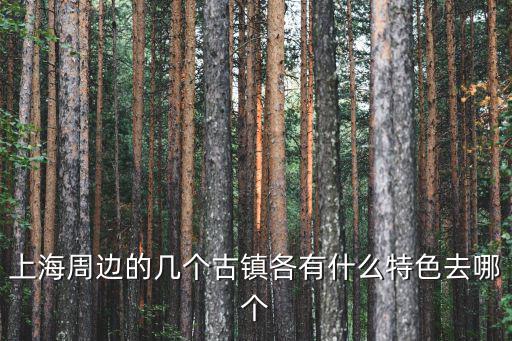上海周邊的幾個(gè)古鎮(zhèn)各有什么特色去哪個(gè)