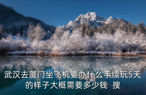 武漢去廈門坐飛機要辦什么手續玩5天的樣子大概需要多少錢  搜