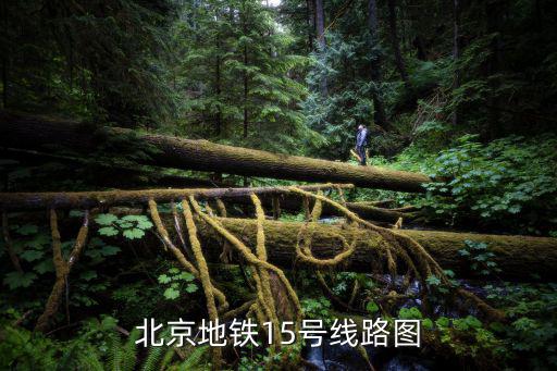 十五號地鐵線路圖，上海地鐵線路圖15號線怎么走