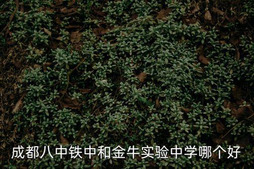 成都八中鐵中和金牛實驗中學哪個好