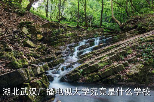 湖北武漢廣播電視大學究竟是什么學校