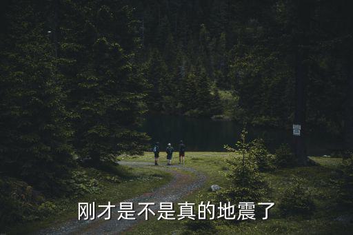 剛才是不是真的地震了