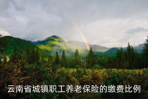 云南省城鎮(zhèn)職工養(yǎng)老保險的繳費比例