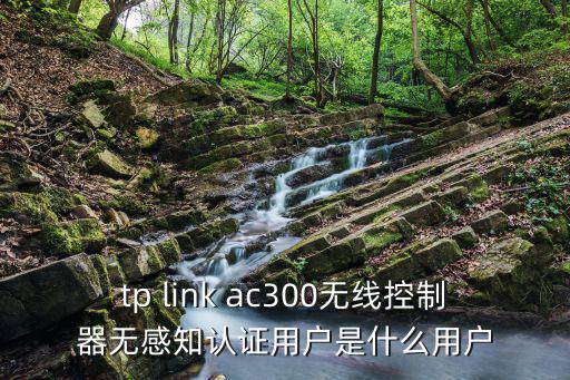 tp link ac300無線控制器無感知認證用戶是什么用戶