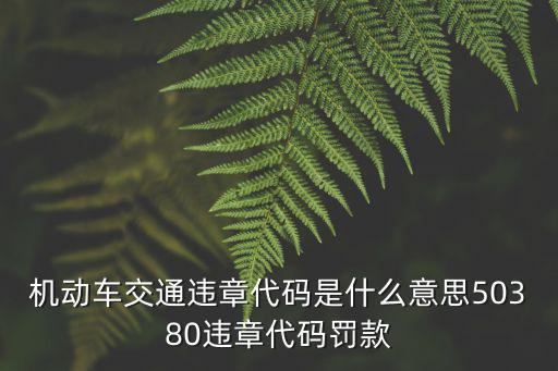 機動車交通違章代碼是什么意思50380違章代碼罰款