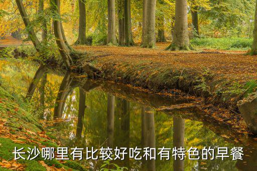 長沙哪里有比較好吃和有特色的早餐